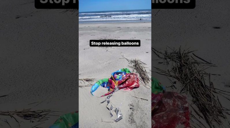 Should balloon releases be BANNED?