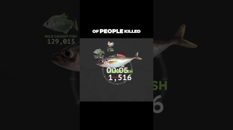 Number of Animals Killed In One Day