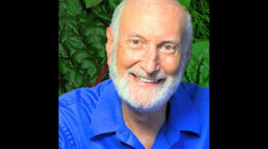 WHY DOCTORS DON'T RECOMMEND VEGANISM #5: Dr. Michael Klaper Dr. Pam Popper