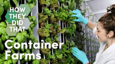How They Did That: Container Farms May Be the Sustainable Solution to Our Broken Food Systems