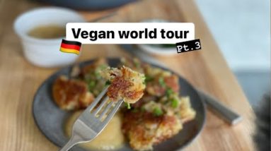 DIBBELABBES 🥔 Vegan world tour pt.3 🗺🌱