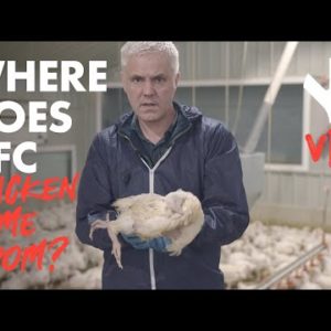 Where Does KFC Chicken Come From?