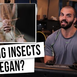 Do Insects Feel Pain? Scientific Studies