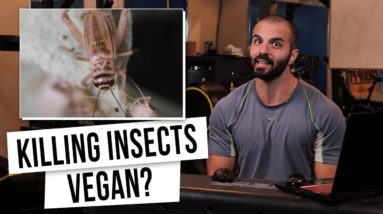 Do Insects Feel Pain? Scientific Studies