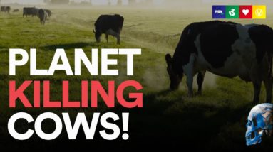 Cows Are Killing Our Planet! (But It’s Not Their Fault) – Eating Our Way To Extinction