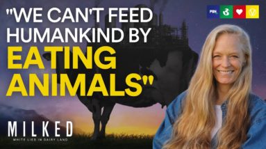 Interview With Suzy Amis Cameron Executive Producer Of MILKED