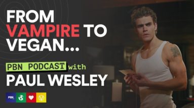 Vampire Diaries Actor Paul Wesley On Fighting For The Rights Of Animals – PBN Podcast Interview