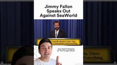 Jimmy Fallon Calls Out SeaWorld On 'The Tonight Show'