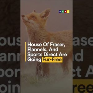 House Of Fraser, Flannels, And Sports Direct Are Going Fur-Free