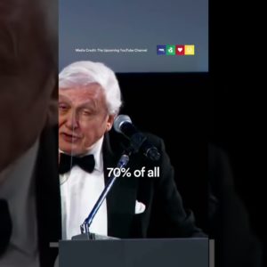 David Attenborough Speech On Wildlife Numbers