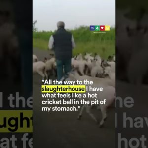 Jeremy Clarkson On Taking Farm Animals To Slaughter