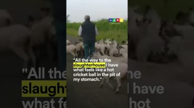 Jeremy Clarkson On Taking Farm Animals To Slaughter