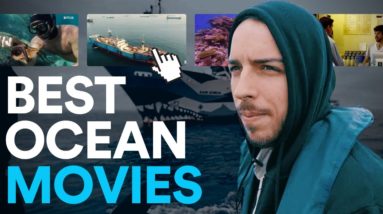 The Best Ocean Movies And Documentaries