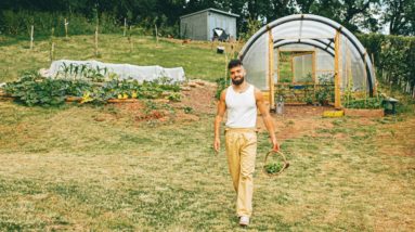 My Epic Hill-Side Vegetable Garden Tour, Producing 80% Of My Groceries