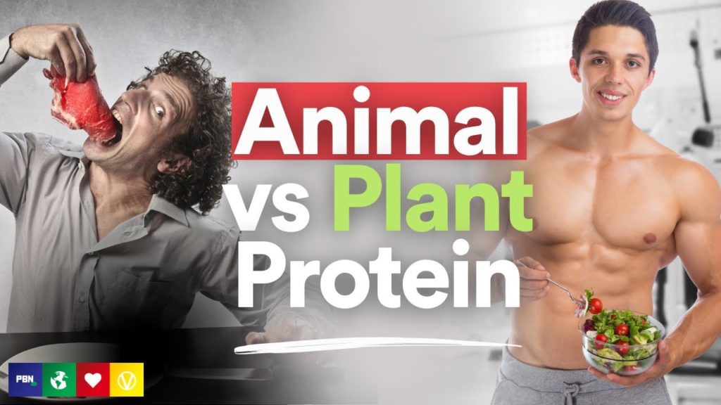 Animal Vs Plant Protein Which Is Better   Animal Vs Plant Protein Which Is Better SAoixUQlt3g 1024x576 