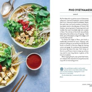 the vegan instant pot cookbook review