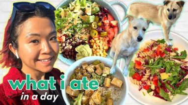 REALISTIC WHAT I ATE IN A DAY | My dogs, high protein meals, self care (VEGAN)