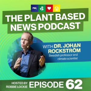 The Climate Crisis: "I don't get depressed, I get angry" Johan Rockström. climate scientist | Ep. 62