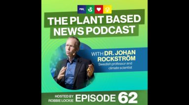 The Climate Crisis: “I don’t get depressed, I get angry” Johan Rockström. climate scientist | Ep. 62