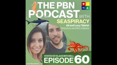 Exclusive Seaspiracy Documentary Director Interview with Ali & Lucy Tabrizi / Episode 60