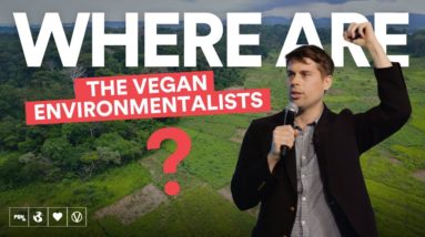 10 Reasons To Become A Vegan Environmentalist!