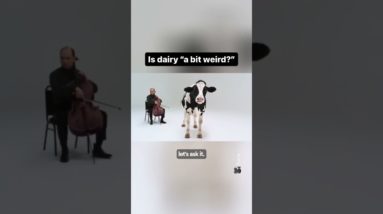 Spread Brand Flora Says Dairy Is ‘A Bit Weird’ In New Ad
